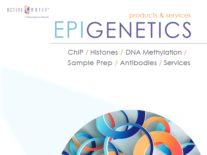 Download Epigenetics Research brochure