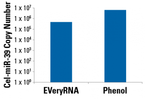 EVeryRNA delivers similar amounts of RNA as phenol-based methods