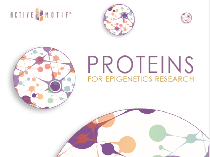 Download Proteins for Epigenetics Research brochure