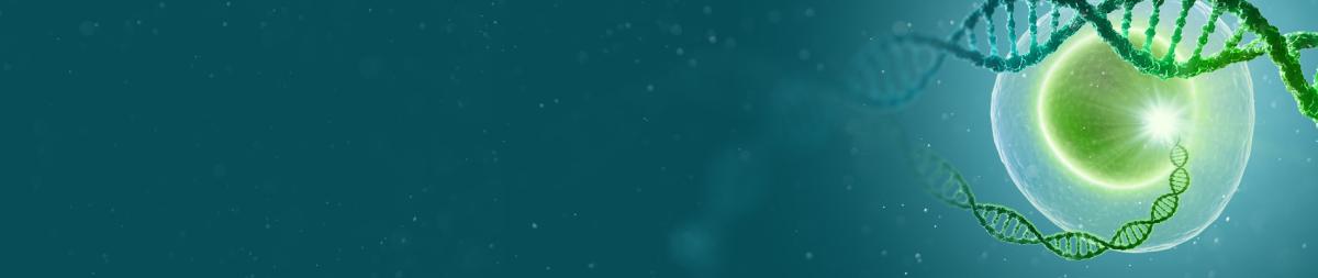 Gene therapy research tools