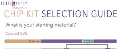 Download the Active Motif ChIP kit selection guide