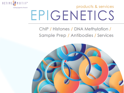 Download the Active Motif epigenetics brochure