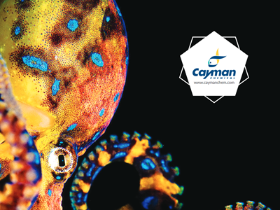 Download the Cayman Chemical forensic chemistry brochure