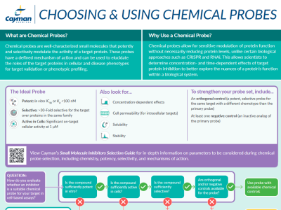 Choosing and using the right chemical probes