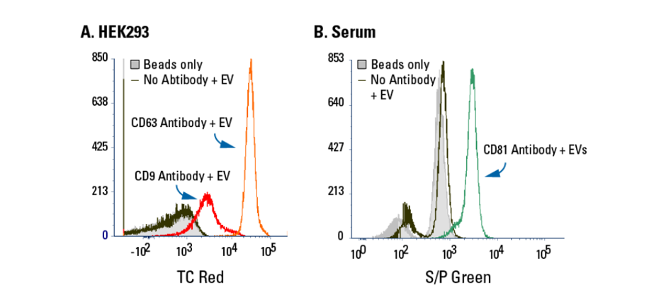 Exo-Flow 2.0 delivers undetectable background binding when analysed using flow cytometry