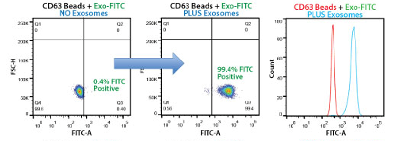 Bead flow separation data for exosomes secreted by HEK293 cells and captured using the CD63 Exo-Flow Capture Kit. 