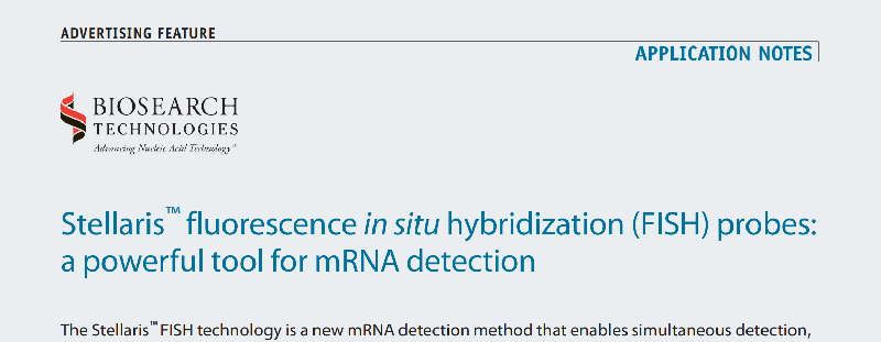 Download: mRNA detection application note