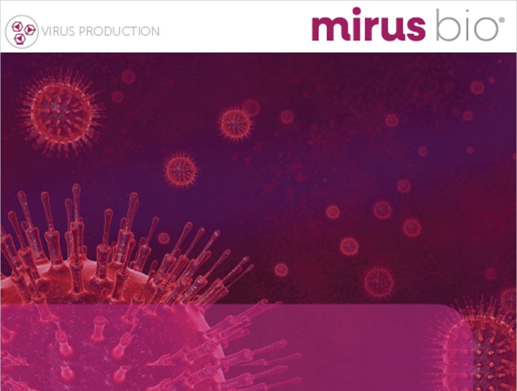 VirusGEN: Efficient DNA delivery for production of high-titer viral vectors
