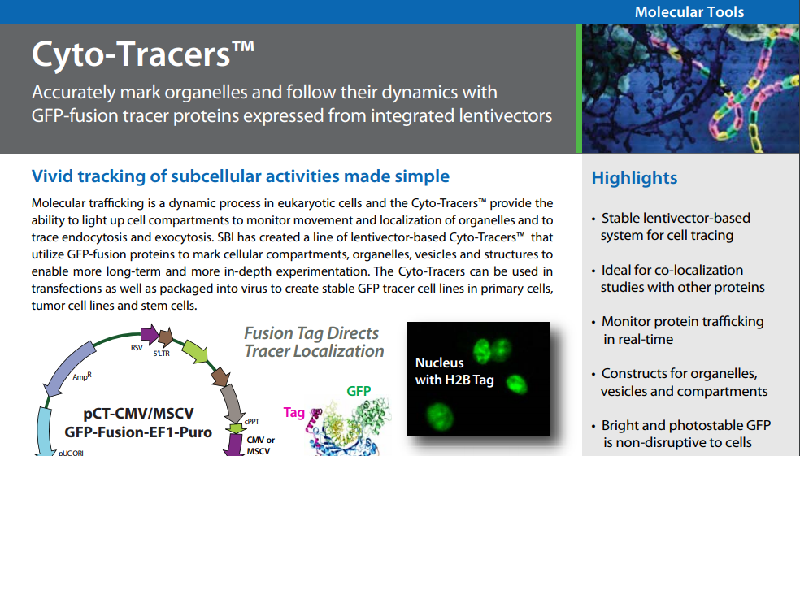 Download: Cyto-Tracers subcellular activities flyer