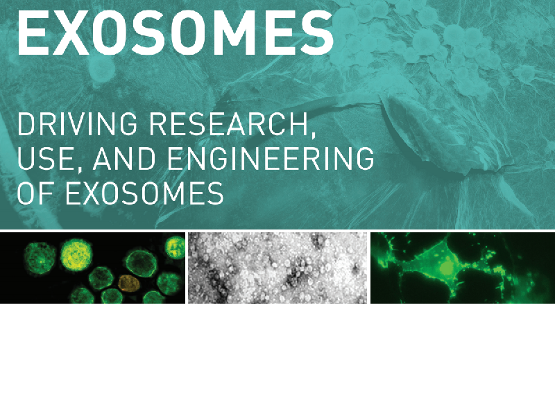 Download SBI exosome tools brochure