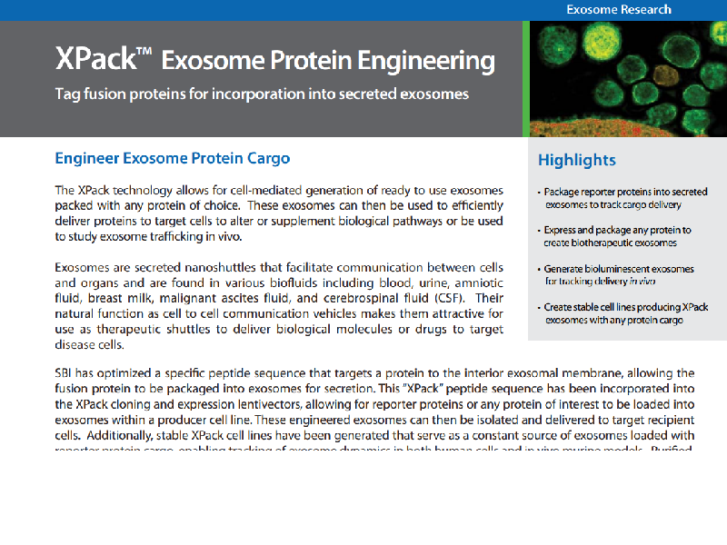 Download: XPack exosome protein engineering flyer