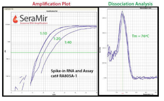 SeraMir: Use the SeraMir spike-in RNA control in a qPCR assay to control for exoRNA recovery, tailing, and cDNA synthesis.