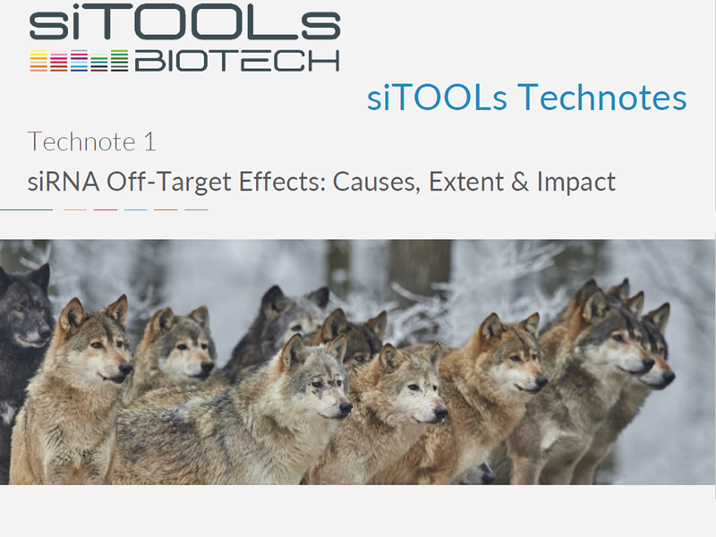Tech note: siRNA off-target effects: causes, extent & impact