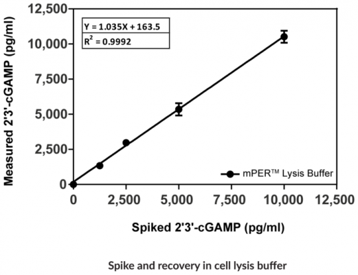 Spike & recovery in cell lysus buffer