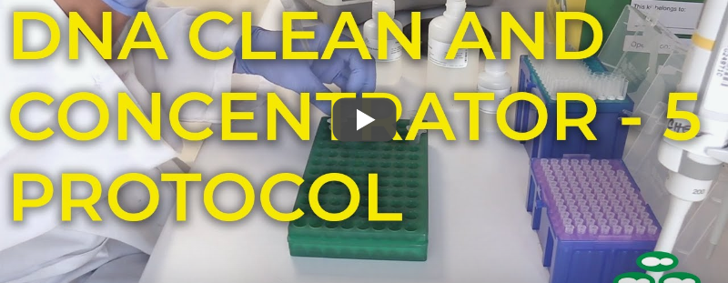 Video: DNA Clean and Concentrator protocol
