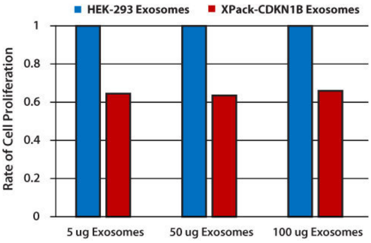 Pack-CDKN1B exosomes reduce cellular proliferatio