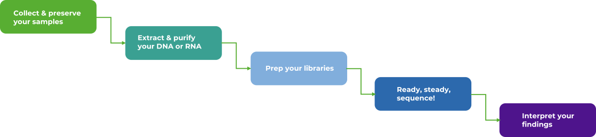 NGS workflow