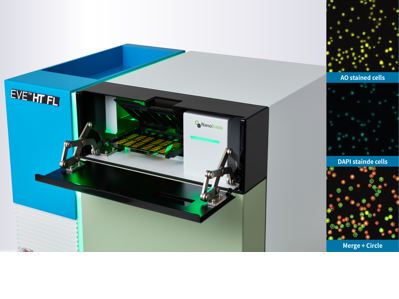 EVE-HT FL: High-throughput cell counting