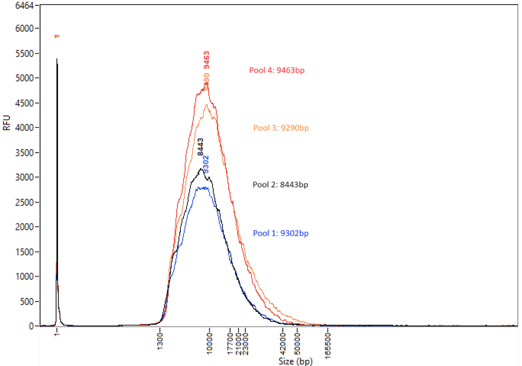 Generates DNA fragments between 8 to 10 kilobases in length, ideal for long-read sequencing.