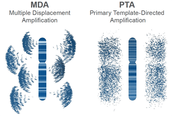 PTA VS MDA