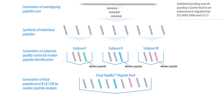Cambridge Bioscience: CD4+ & CD8+ T-cell stimulating peptide pools: PepMix