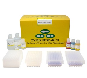 Creating a confident foundation with clean plasmid DNA