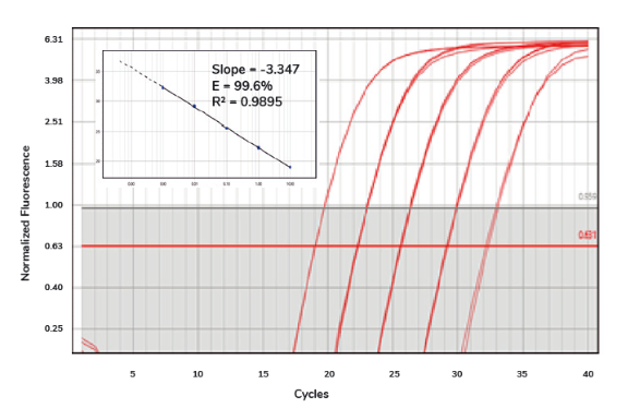 Amplification plot of the SolisFAST® SolisGreen® qPCR Mix