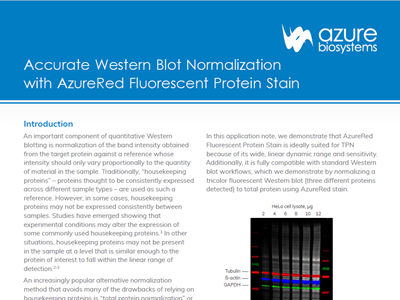 Download: Accurate Western blot normalisation