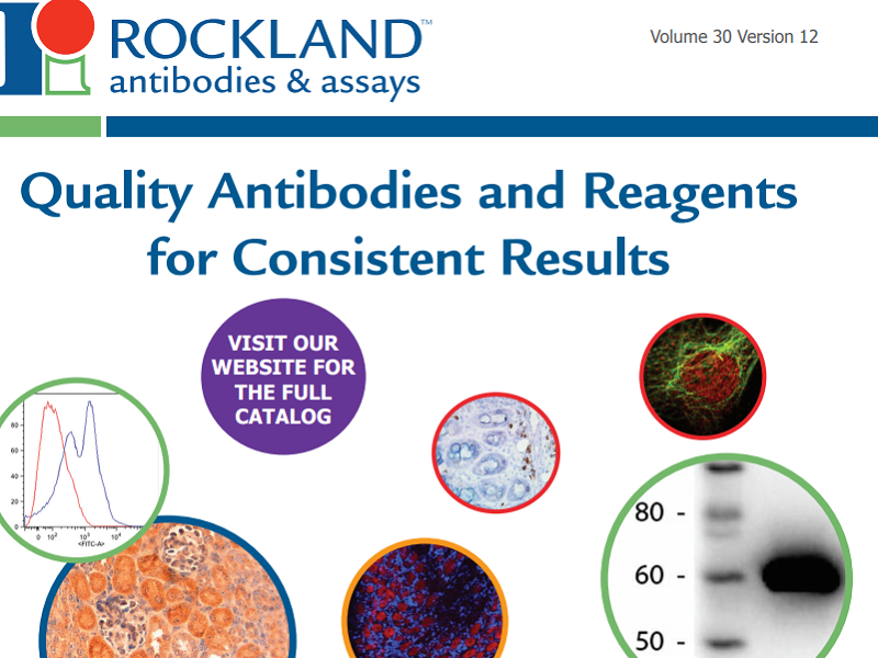 Download Rockland antibody brochure
