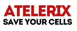 Atelerix